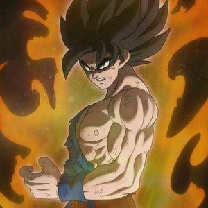 Meet your Posher, Ty